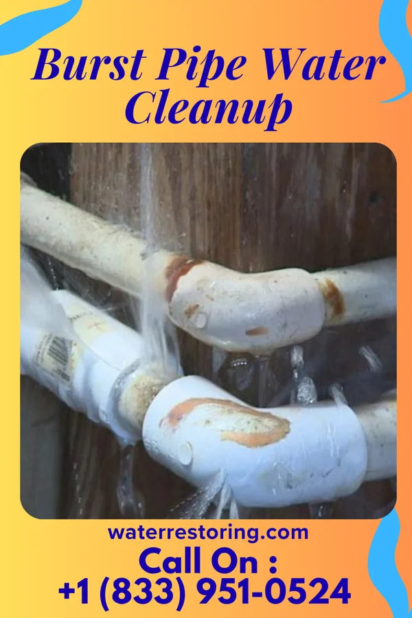Burst Pipe Water Cleanup in Medina, OH