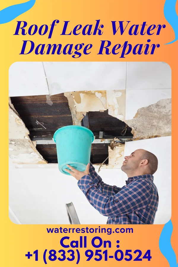 Roof Leak Water Damage Repair in Medina, OH