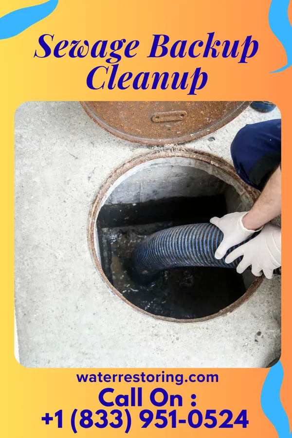 Sewage Backup Cleanup in Medina, OH