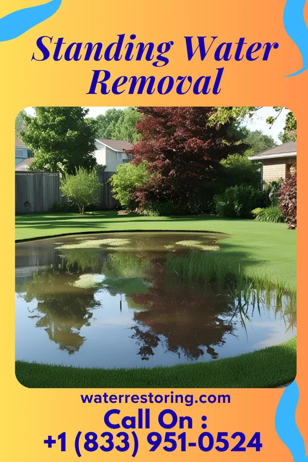 Standing Water Removal in Medina, OH